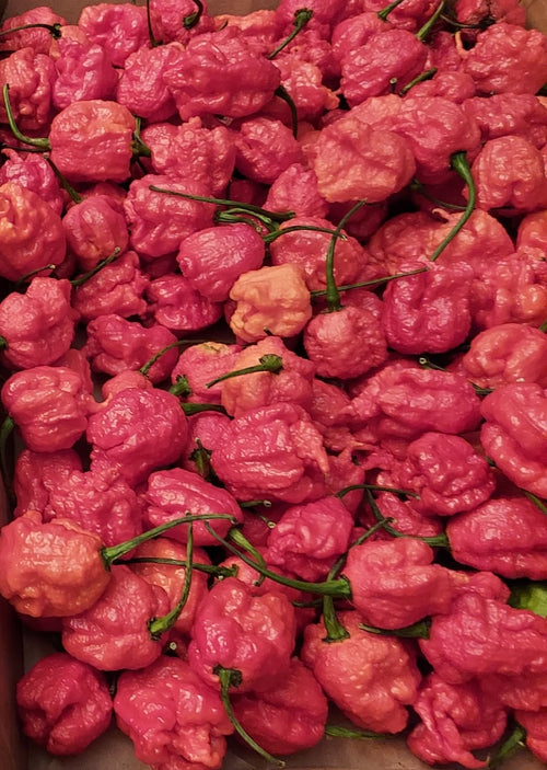 Smilin' Jay's - Cherry Fire
